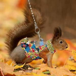 Conjunto de Arnés y Correa Ajustable con Diseño Floral para Mascotas Pequeñas, Correa de Tracción para Hurones, Chinchillas Enanas, Cobayas y Ratas Ornamentales - Product Image 4