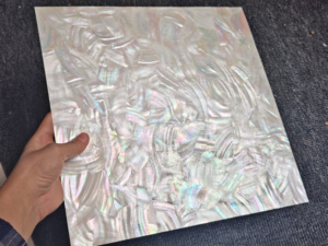 Tấm xà cừ trắng tự nhiên, vỏ sò biển, nước ngọt, bán buôn dùng cho thủ công mỹ nghệ, trang trí nhà cửa, khảm đồ nội thất - Product Image 3