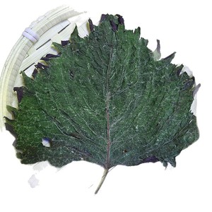 Hojas de Perilla Secas 100% Naturales, Libres de Pesticidas y Azufre, Base Premium para Tés <span class=keywords><strong>Kampo</strong></span>, Hierbas Chinas Crudas - Product Image 5