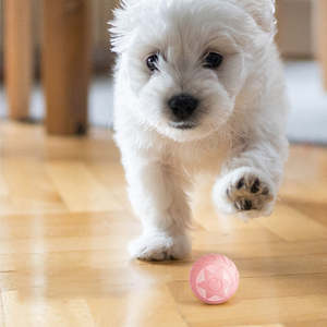 Automatic Indoor Interactive Rolling Eco-Friendly Cat <b>Ball</b> Training Toy <b>Smart</b> Electric ABS/Silica Gel Cat Toys - Product Image 2