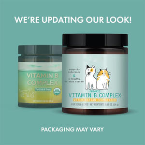 ผงกลูโคซามีน OEM/ODM สำหรับ<span class=keywords><strong>แมว</strong></span>และสุนัข - ดูดซึมเร็ว ปลอดภัย เสริมสร้างภูมิคุ้มกัน บำรุงสุขภาพทางเดินอาหาร - ราคาโรงงาน รับผลิตแบรนด์ส่วนตัว - Product Image 2