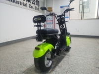 Moto électrique DAYI 1000W avec batterie au lithium portable, empattement de 1300 mm, scooter électrique