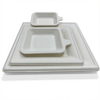 Ensemble de vaisselle jetable biodégradable en papier, assiettes et couverts compostables avec couvercle alimentaire pour cuisines, hôtels et fêtes