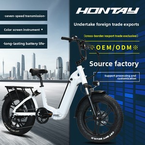 Scooter/Motocicletta Elettrica a Due Ruote con Pneumatici Larghi da 20 Pollici, Motore Brushless, Batteria al Litio da 20Ah, Sospensione Soft-tail Esclusiva - Product Image 3