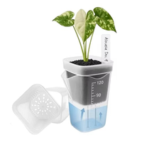 Pots de plantes auto-arrosants, mini pots pour semis, pots à fleurs, jardinières en plastique translucide, pots de propagation de plantes avec réservoir 5CM