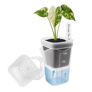 Macetas con Autorriego, Mini Macetas para Plántulas, Macetas de Plástico Translúcido, Macetas para Propagación de Plantas con Reservorio de 5CM - Product Image 1