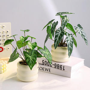 <span class=keywords><strong>Planta</strong></span> Artificial Realista en Maceta, Decoración para Sala <span class=keywords><strong>de</strong></span> Estar, Adorno para Bar, <span class=keywords><strong>Planta</strong></span> Verde Fresca Floral <span class=keywords><strong>de</strong></span> Alta Gama en Maceta - Product Image 3