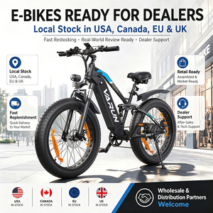 Vélo de montagne électrique VARUN Factory 250W 25km/h, pneus larges 26 pouces, autonomie 120km, entrepôt UE/Royaume-Uni, MOQ 1 pour les détaillants - Product Image 1