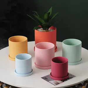 Wholesale modern home garden maceta decoration cylinder succulent planter matte flowerpot plant flower pots with tray saucer