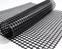 Géogrille en PP biaxiale anti-corrosion en vrac, géogrille plastique durable pour la stabilisation des routes