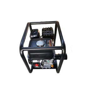 Hot Selling High Quality Gasoline Engine Pendulum Cononcrete <strong>Vibrator</strong> with Dynapac and Hayasi Coupling - Product Image 1