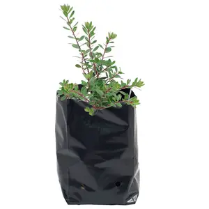 1/3/5/10 Gallon 150 Micron Verdikte Plastic Kwekerij Zakken Voor Boom Planten Fruit Bloem Ldpe Zaailing Groeien tassen