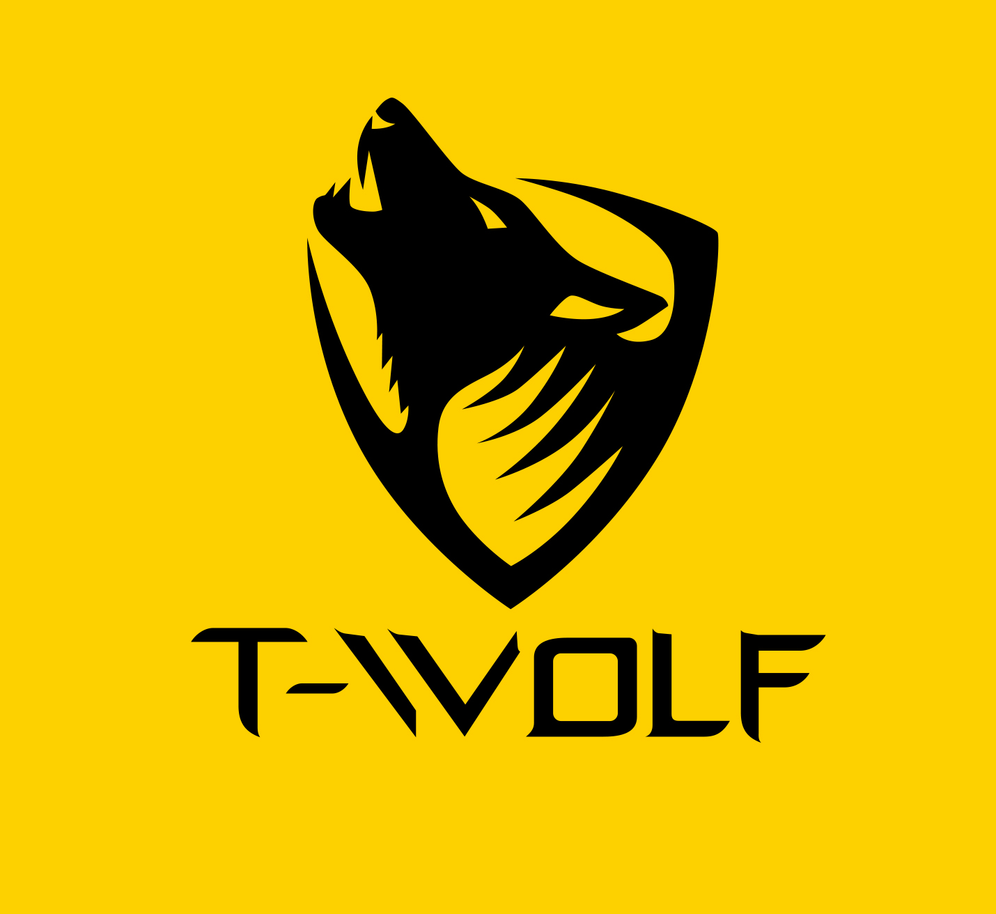 Huizhou City Twolf  Electronics  Co., Ltd. logo