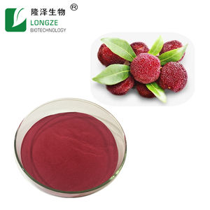 <span class=keywords><strong>Yumberry</strong></span>ジュースパウダーワックスベリーエキスパウダーベイベリーフルーツパウダー無料サンプル付き - Product Image 2