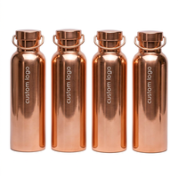 Botol Minum Olahraga Anti Bocor 500ml Berlapis Tembaga Dinding Ganda Vakum Terisolasi dengan Logo Kustom dan Label Pribadi dari Baja Tahan Karat