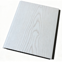 Panel de Techo Decorativo Moderno de PVC Perforado con Función Insonorizante para Aplicaciones en Centros Comerciales y Gimnasios