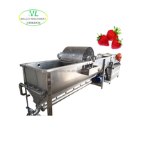 China Groenteverwerkingsfabriek Fruitbellenwasmachine met motor en pomp Multifunctioneel