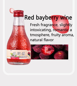 Best Selling Xiake Legend High Quality Chinese <strong>Plum</strong> Flavor Medium Sweet Fruit <strong>Sake</strong> 6% Vol Healthy Choice Women Dinner 500ml - Product Image 2