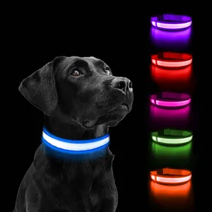 Collar luminoso de nailon para mascotas, accesorio personalizado, resistente al agua, recargable, para perro