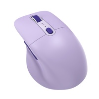 Souris personnalisée exclusive avec moule sur mesure : Rechargeable, filaire et sans fil, au design tendance