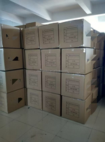 Kostum Maskot Rubah 3D Profesional Buatan Blue Sky Factory, Kostum Hewan Dewasa dengan Headset untuk Acara Komersial