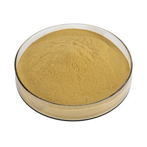 Xd Healthera Groothandel Op Maat Gemaakte Food Grade Kruidenextract Sulforafaan Broccoli Spruit Extract Poeder Drum Bulkprijs - Product Image 2