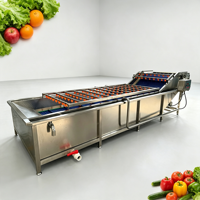 Ozonsterilisatie commerciële luchtbel fruit- en groentewasmachine voor peterselie- en appelverwerking