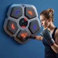 Machine de boxe murale intelligente Smart Music ABC Material |   Dispositif d'entraînement de boxe