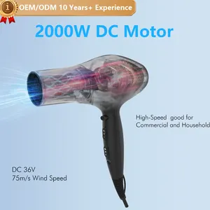 OEM/ODM Sèche-cheveux professionnel 2000W souffleur de sèche-cheveux Moteur DC de qualité salon 3 températures 2 vitesses du vent avec 1 buse
