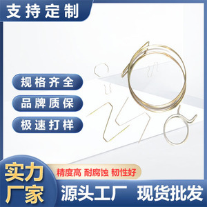 Muelles de Acero Inoxidable con Forma Personalizada Bo Xi, Fábrica de Conformado de Alambre Irregular, Venta al por Mayor YXTH 1 - Product Image 4