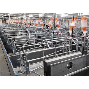 Fabricant professionnel Équipement d'élevage de porcs Caisse de mise bas à vendre - Product Image 5