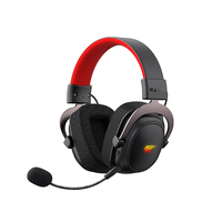 Havit H2002BG 2.4GHz nouveauté gamer rvb bass pc fones de ouvido casque de jeu sans fil casque avec microphone