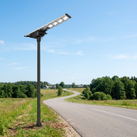 Lampe solaire LED de rue en aluminium monocristallin à haute luminosité 100W, facile à installer, extérieure, LiFePO4, indice de protection IP66