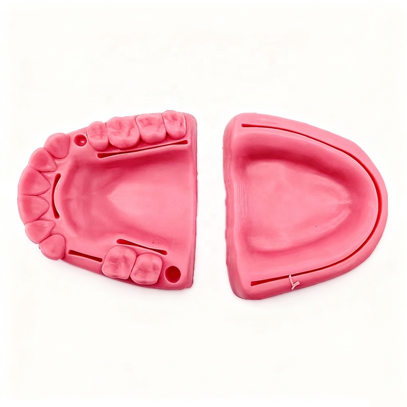 2Pcs Oral Gum Skin Suture Training