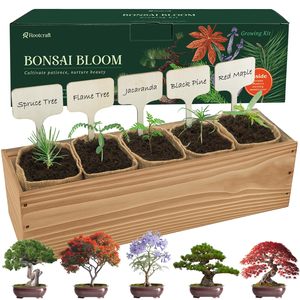Kit <span class=keywords><strong>de</strong></span> Bonsaï DIY pour Débutants : Jardinage Intérieur, Graines, Sols, Pots et Outils – Cadeaux d'Anniversaire Uniques pour Femmes et Hommes - Product Image 1