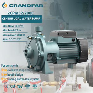 Pompe centrifuge submersible haute pression Grandfar 220V/50Hz 3kW/4CV pour l'irrigation, version OEM 2CPm32/200C K1 Ne - Product Image 1