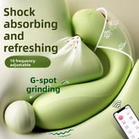 Fabrik-Großhandel: Heizbarer Vibrator mit Fernbedienung, tragbar, 10 Frequenzstufen, 50 dB Geräuschpegel, für Outdoor-Flirten und Masturbation