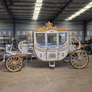 Calèche électrique royale traditionnelle pour le tourisme, de haute qualité, élégante, capacité 6 personnes, sièges en cuir souple - Product Image 6