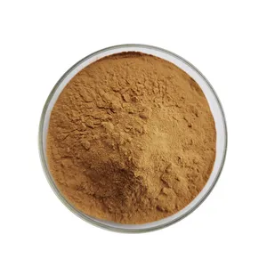 100% Natural Phyllanthus Niruri Amarus Extract Powder 10:1 20:1