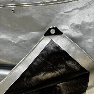 <span class=keywords><strong>Lona</strong></span> de PE recubierta de LDPE de espesor de tamaño personalizado, <span class=keywords><strong>lona</strong></span> <span class=keywords><strong>con</strong></span> ojal de aluminio - Product Image 5