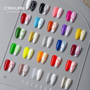 Nuova venuta Nail Art Liner Paint Gel OEM Factory UV/LED Curing 24 Color Line Gel Nail Polish - Product Image 3