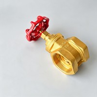 Válvula de Compuerta Manual de Latón Roscada NPT/BSPT de 1/2"-4" para Agua, Aceite y Gas con Vástago Ascendente y Volante Rojo para Tuberías Industriales y de Plomería