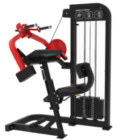 China Commercial Gym Strength Fitness Equipment Dual Functional Trainer Biceps Triceps Curl Extension Machine para Body Building
