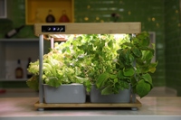 IGS-06 Jardin hydroponique vertical d'intérieur, kit de culture avec 16 pots, éclairage LED, kit électronique intelligent pour la maison, design moderne