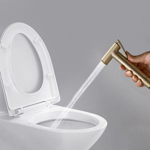 Pulvérisateur manuel en laiton pour toilette Bidet, Shattaf, avec <span class=keywords><strong>robinet</strong></span> mitigeur d'eau chaude et froide, avec <span class=keywords><strong>support</strong></span>, tuyau et kit <span class=keywords><strong>de</strong></span> Douche à Jet - Product Image 3