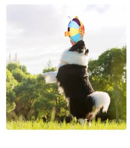 Fabriek Groothandel Interactieve Pluche Hond Speelgoed Eenvoudige Schattige Deluxe Ronde <span class=keywords><strong>Frisbee</strong></span> Geschikt Om Te Spelen - Product Image 6