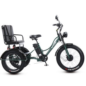 Vélo électrique hybride à trois roues avec moteur arrière sans balais de 750 W, 24 pouces, en stock, deux sièges, autonomie de 60 km, <span class=keywords><strong>pour</strong></span> personnes âgées et enfants, prix - Product Image 3