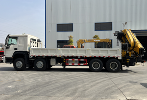 رافعة محمولة بذراع قابلة للطي من Sinotruk Howo 8x4 مع قدرة رفع 20 طن و 25 طن و 30 طن - Product Image 4