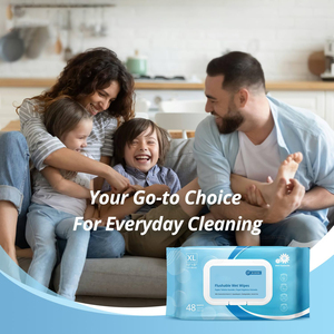 Eco-Friendly Disposable Flushable Non-Woven Wet Toilet Paper Customised Logo <b>Biodegradable</b> Household Cleansing <b>Wipes</b> - Product Image 5