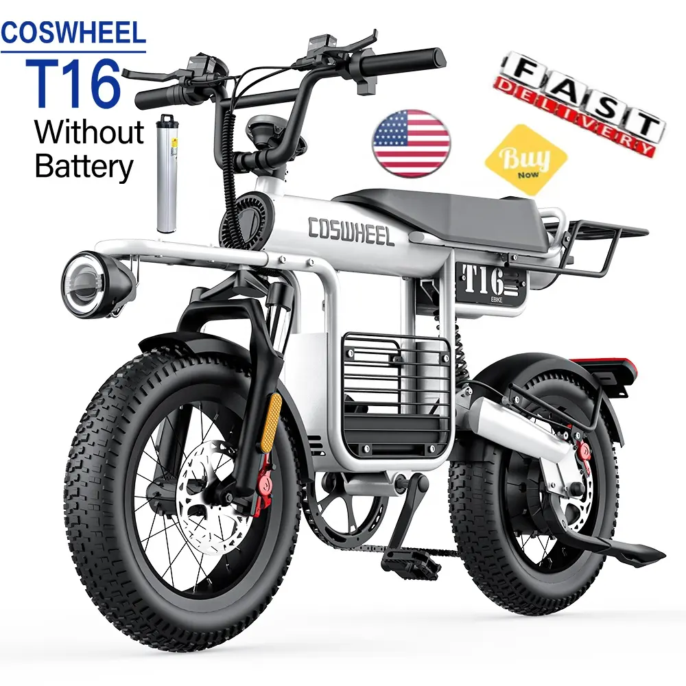 Vente directe d'usine Coswheel T16 Original e-Bike Fatbike 250W Ebike 48V 750W 1000W Fat Tire Vélo de trajet électrique à gros pneus